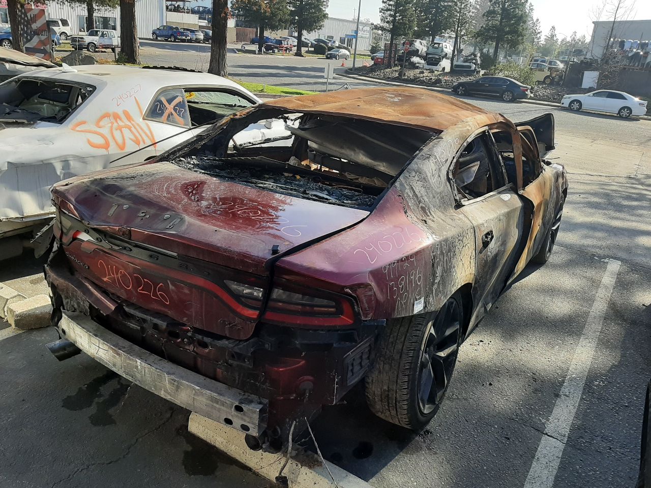 Vehicle/1294_09.jpg