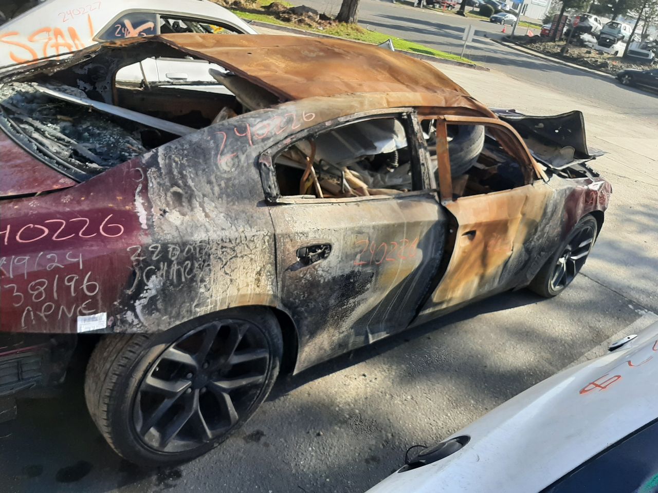 Vehicle/1294_10.jpg