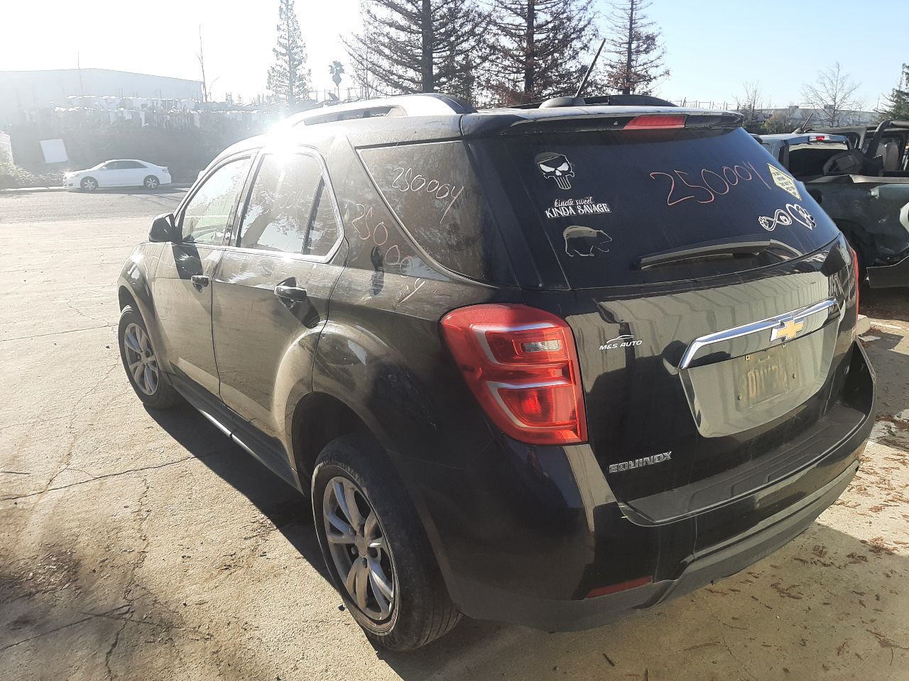 Vehicle/1307_05.jpg