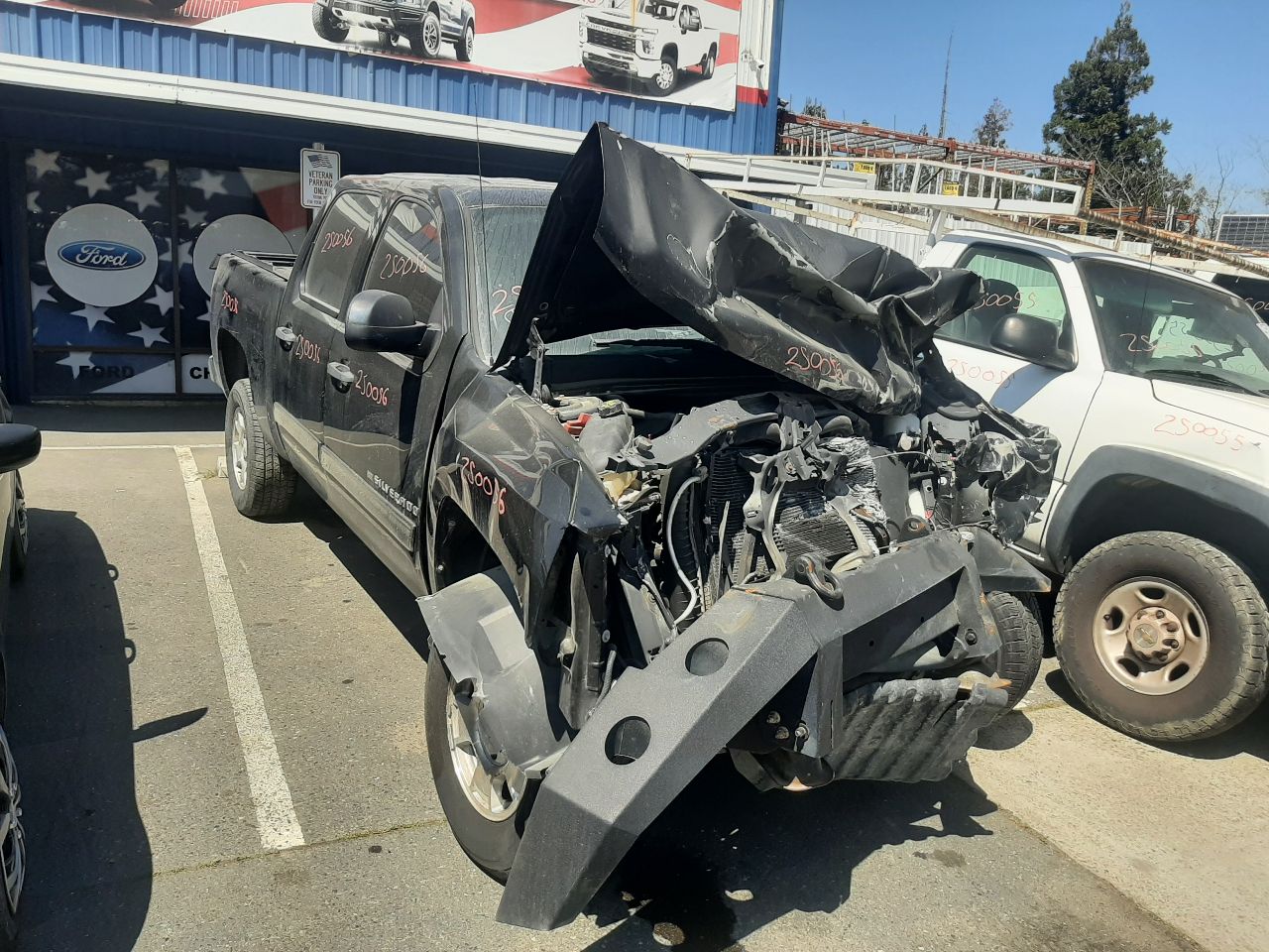 Vehicle/1365_01.jpg