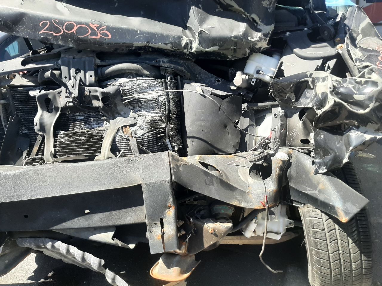 Vehicle/1365_11.jpg