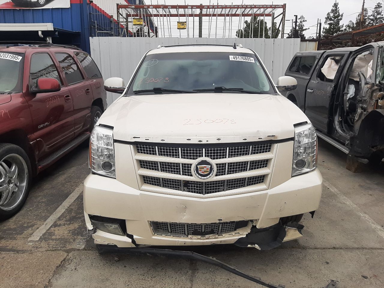 Vehicle/1386_02.jpg