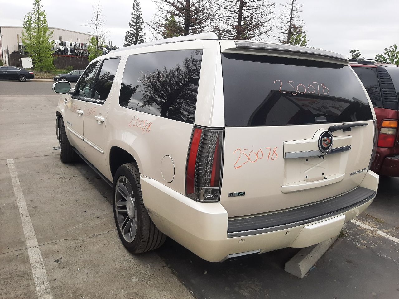 Vehicle/1386_05.jpg