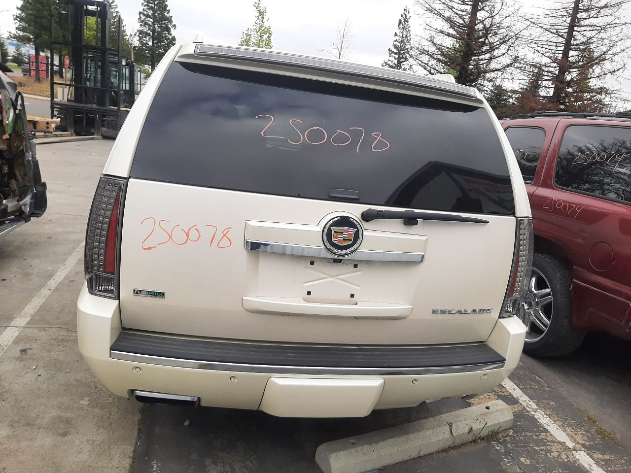 Vehicle/1386_06.jpg