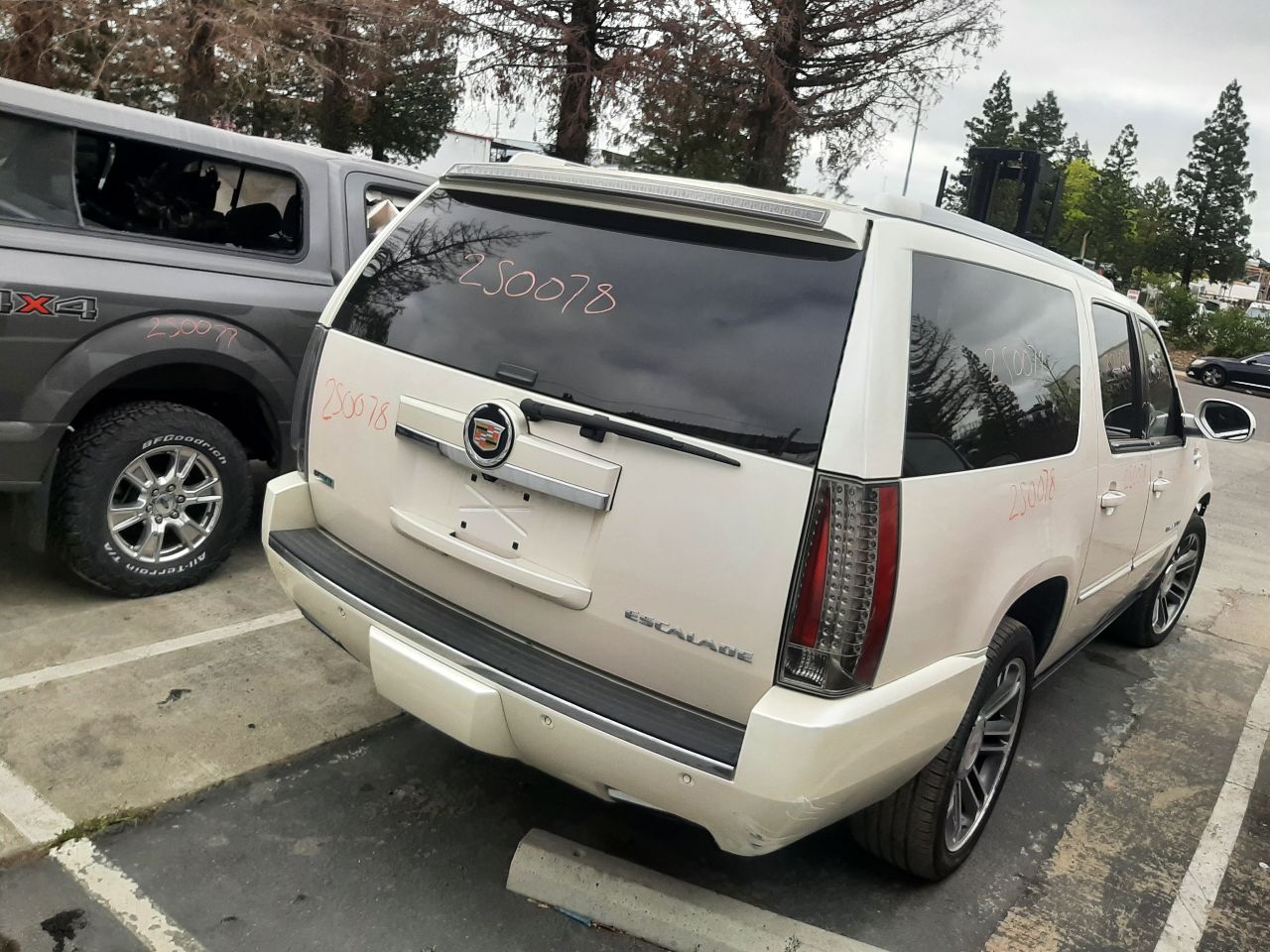 Vehicle/1386_07.jpg