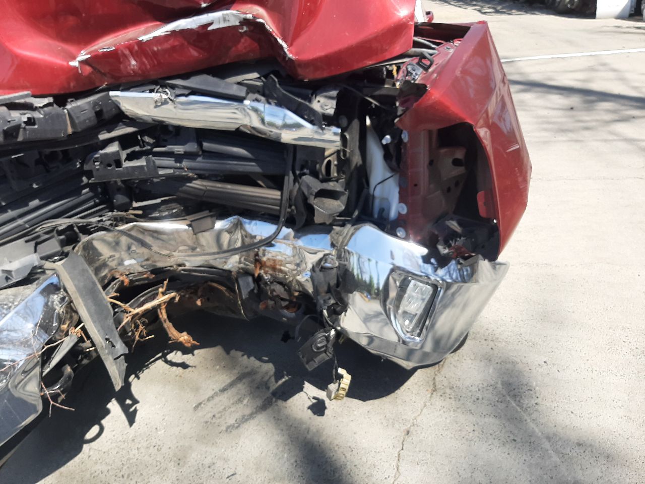 Vehicle/1412_10.jpg