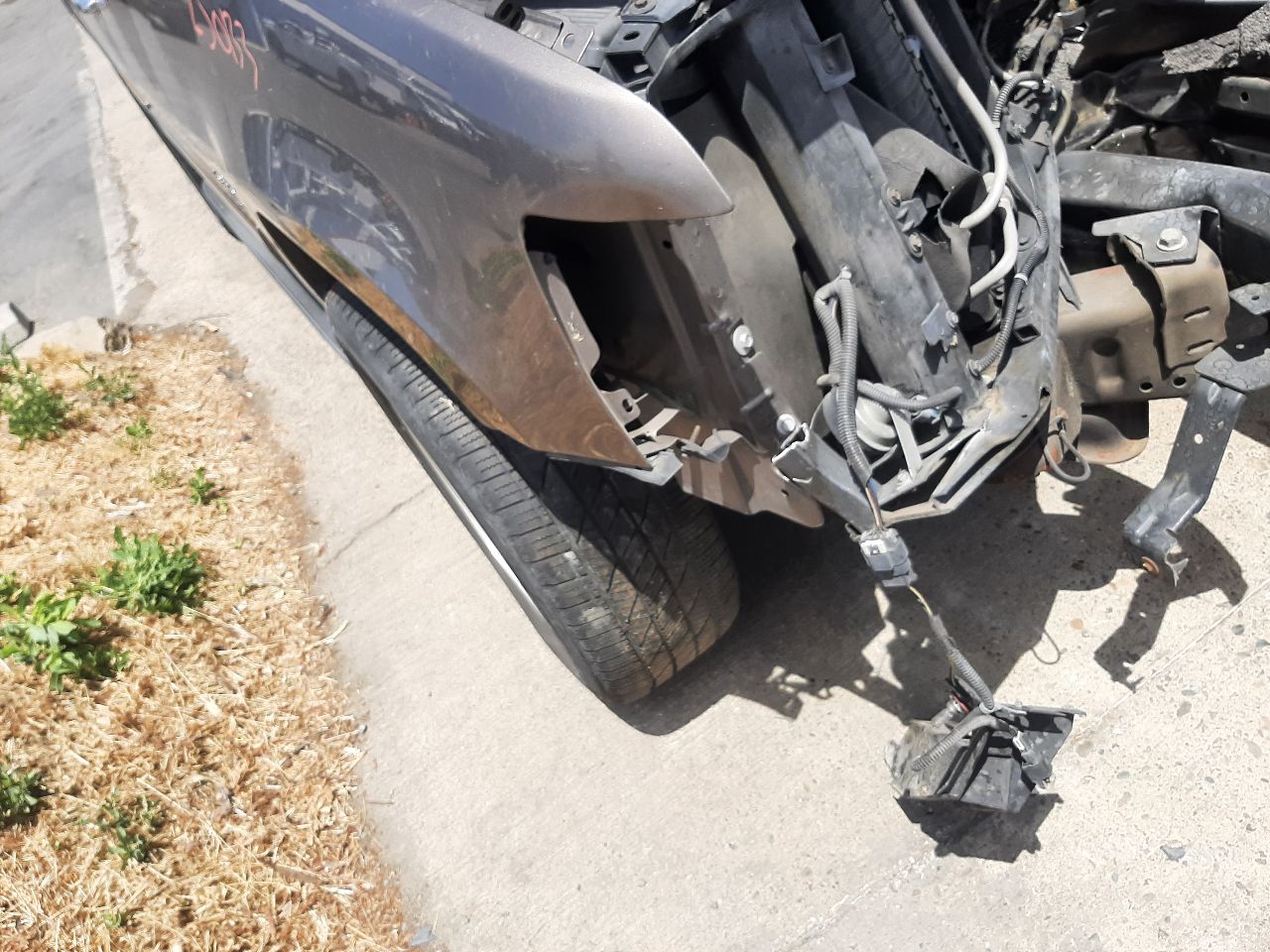 Vehicle/1443_09.jpg