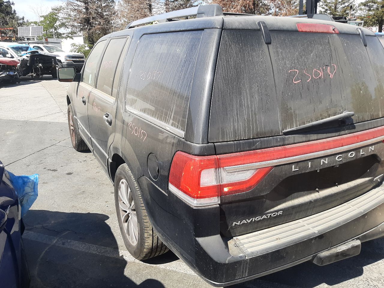 Vehicle/1446_05.jpg