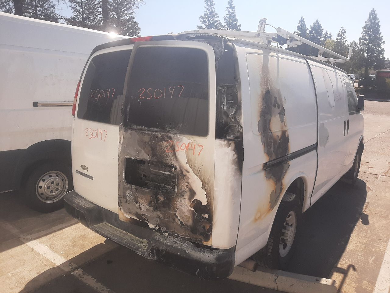 Vehicle/1459_07.jpg
