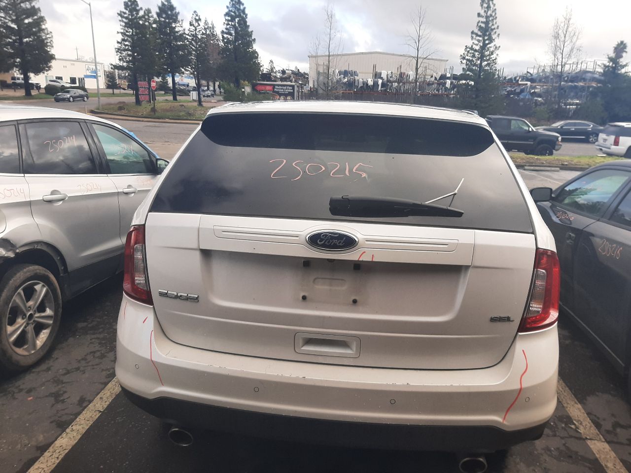 Vehicle/1529_06.jpg