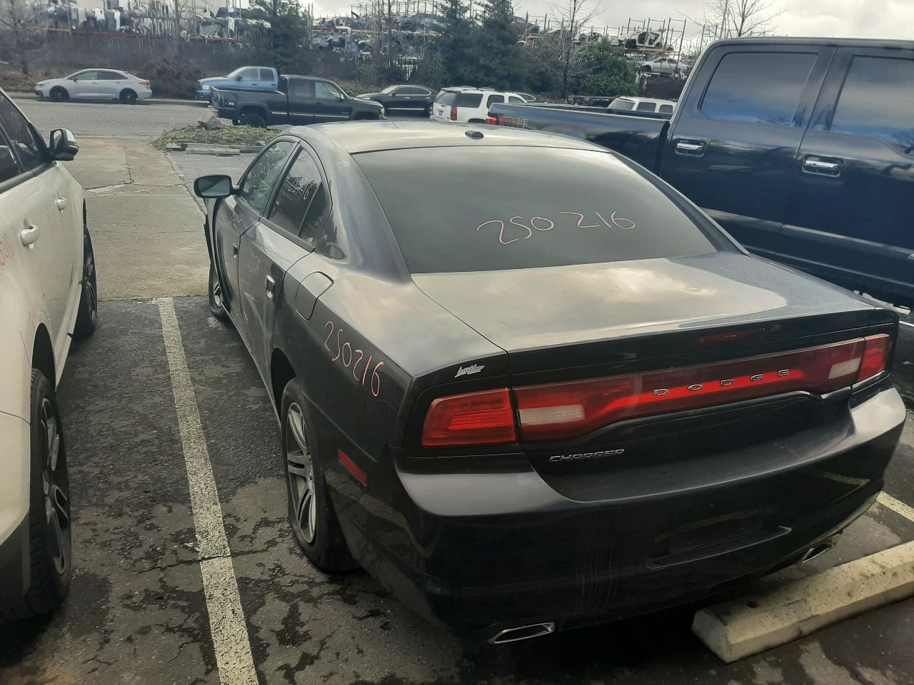 Vehicle/1530_05.jpg