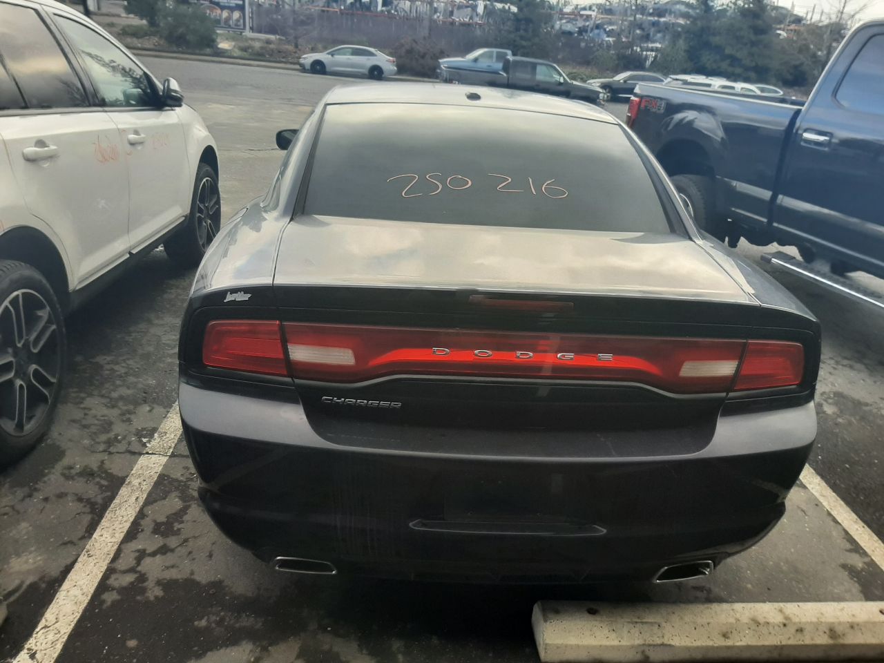 Vehicle/1530_06.jpg