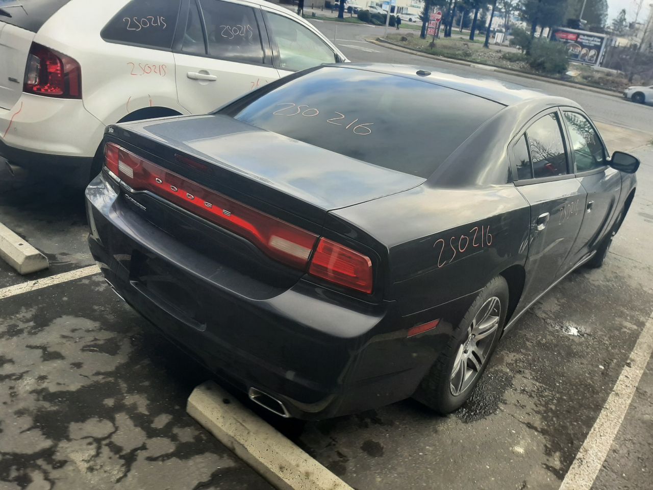 Vehicle/1530_07.jpg