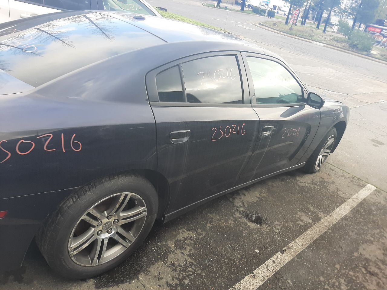Vehicle/1530_08.jpg