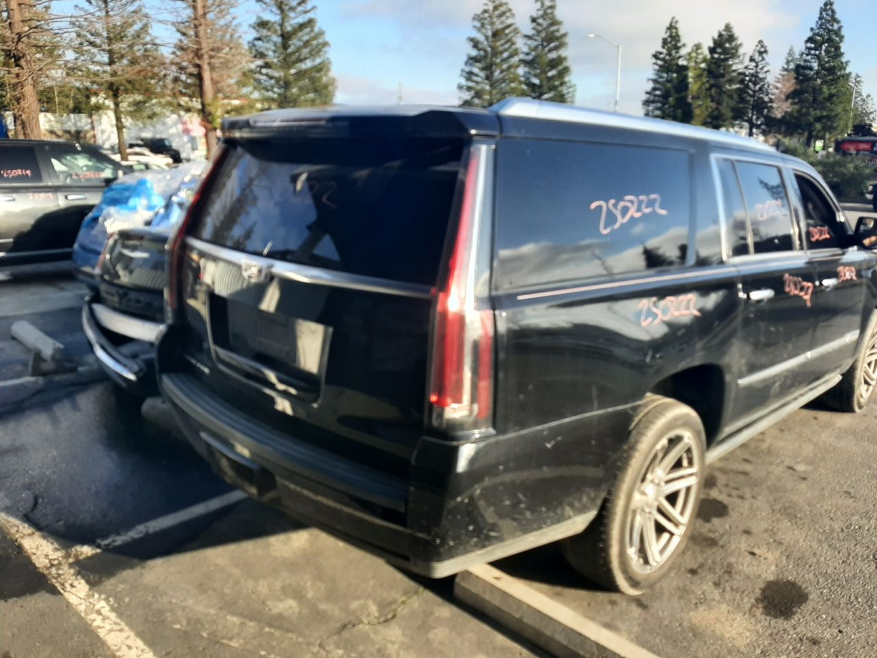 Vehicle/1536_07.jpg