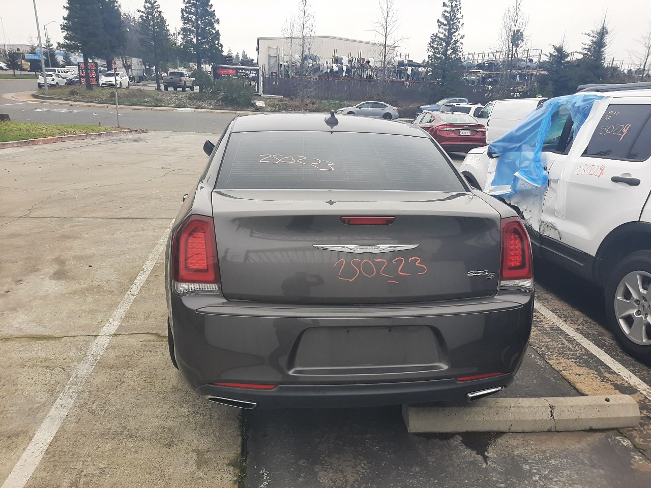 Vehicle/1537_06.jpg