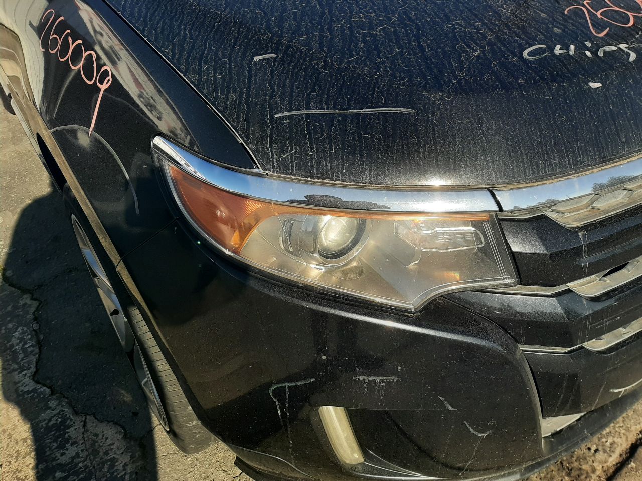 Vehicle/1558_09.jpg