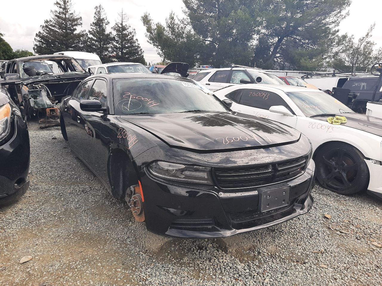 Vehicle/1594_01.jpg