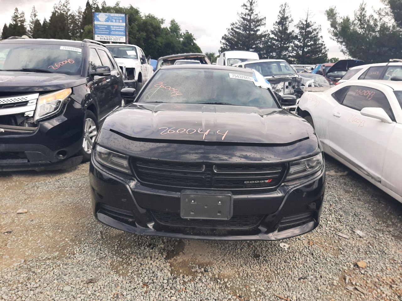 Vehicle/1594_02.jpg