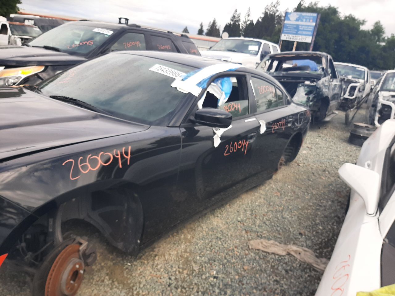 Vehicle/1594_04.jpg