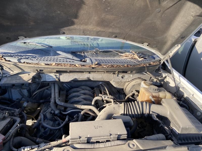 Vehicle/190_12.jpg