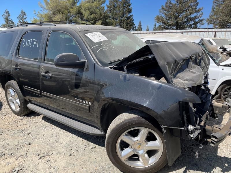 Vehicle/290_03.jpg